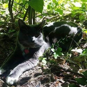 Meet your Posher, Christa